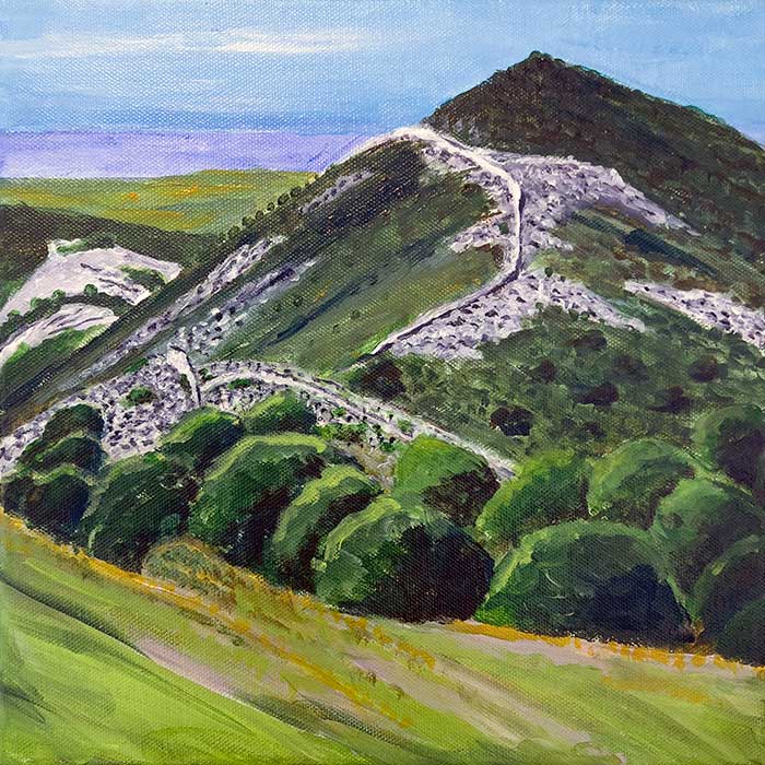 Acrylic - Montiferru, Sardegna, Italy